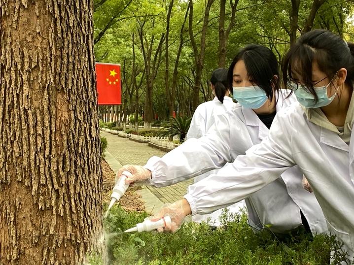 一人一树绿化地球公益活动,爱校护校共建美好校园