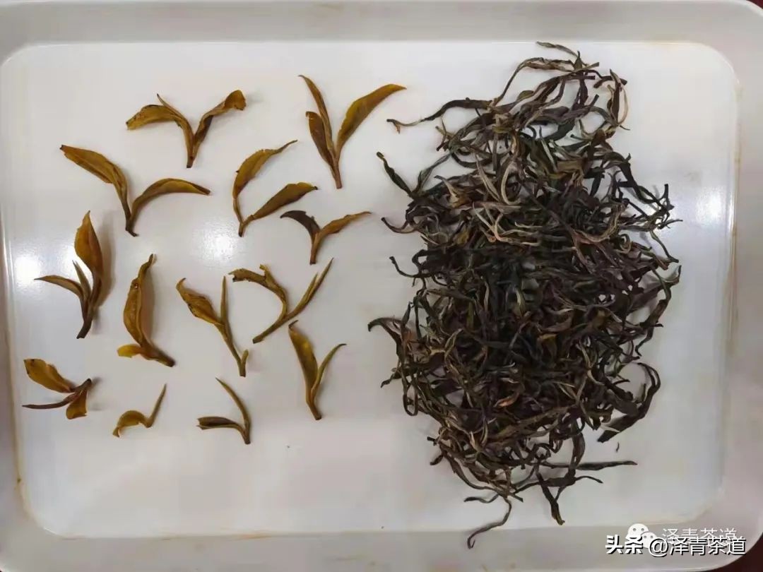 什么茶需要洗茶什么茶不需要洗茶,普洱茶洗茶后醒茶要多久