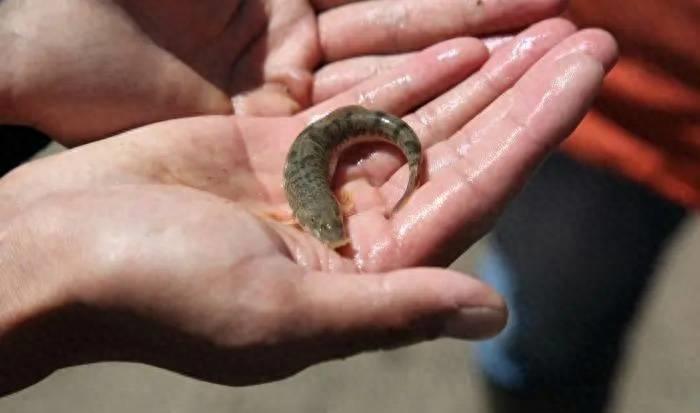 中国最大淡水湖纳木错湖,西藏纳木错中国最大的湖