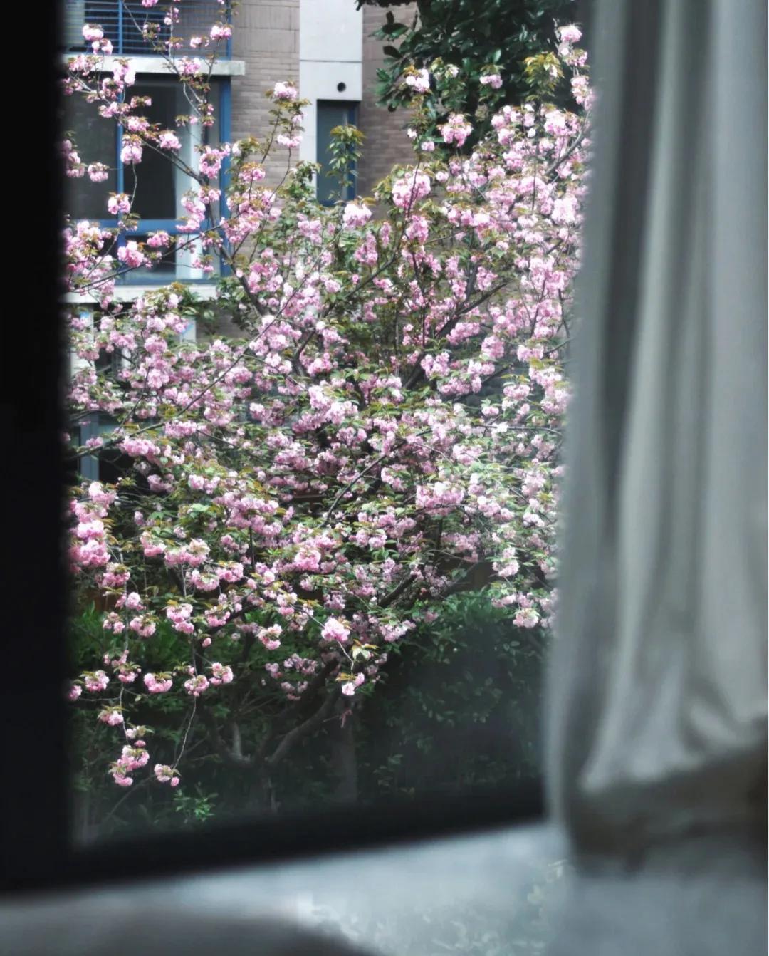 江苏发现一户人家太会装修而走红,安徽房屋室内装修隔断效果图