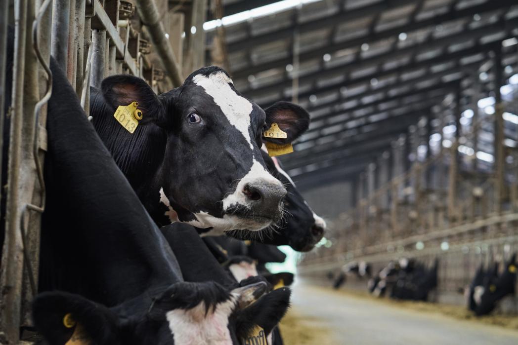 教你如何成为网购达人,一分钟教你学会变成护肤达人
