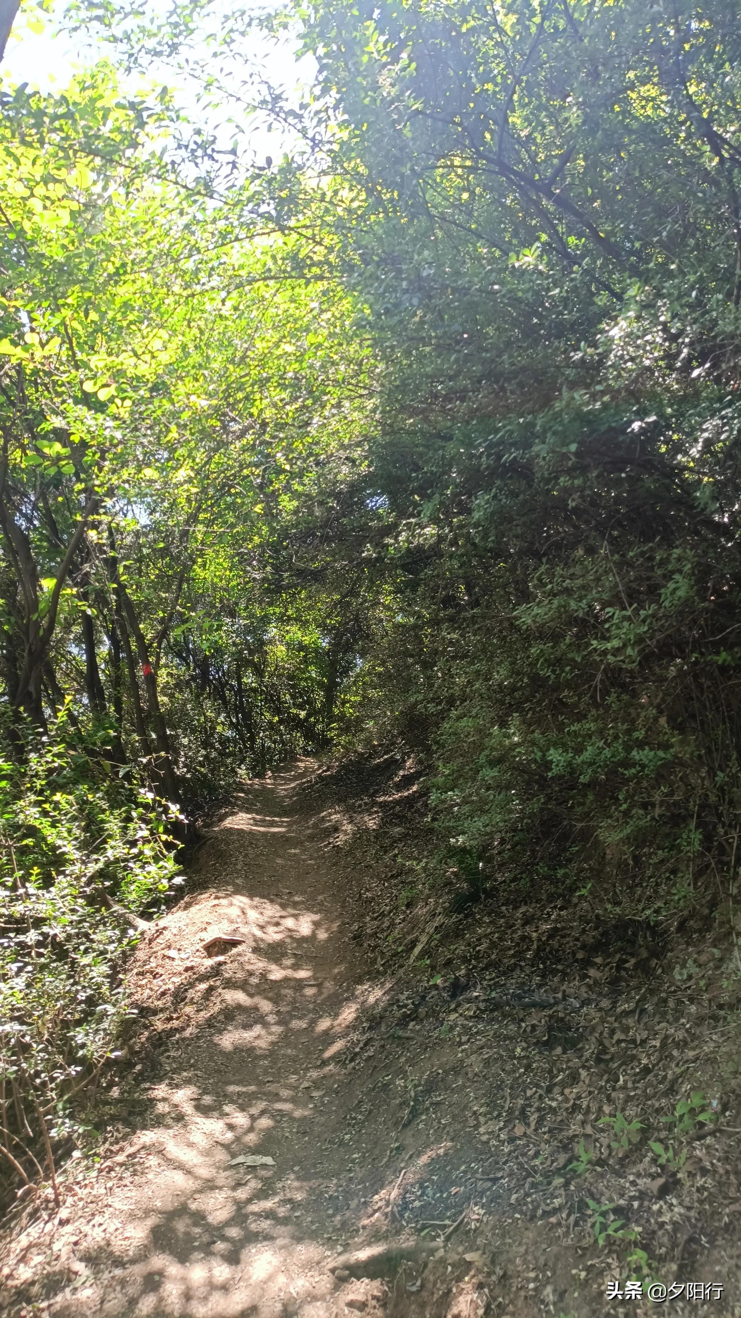 最美爬山公路,最美登山路