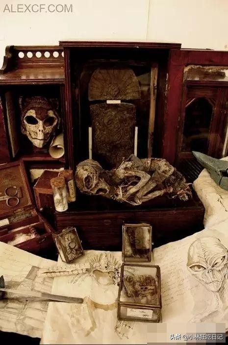 英国神秘生物博物馆,英国神秘生物