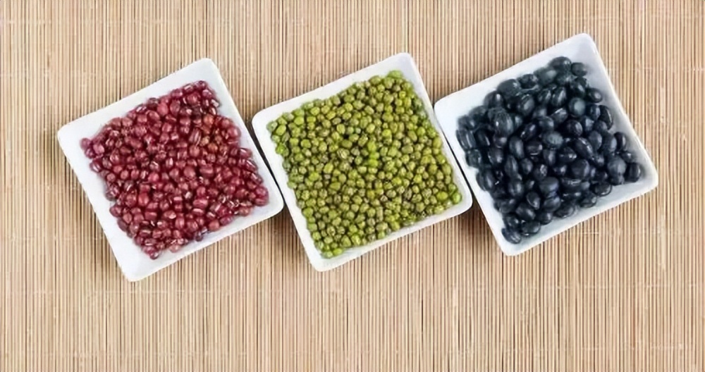 102岁朱南孙国医养生4个秘诀,九十岁老中医朱南孙