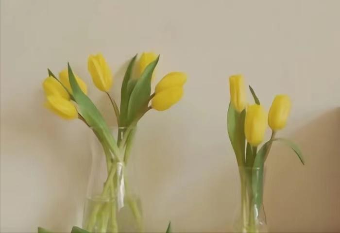 男女在一起有了感情,爱情的感觉怎么产生的