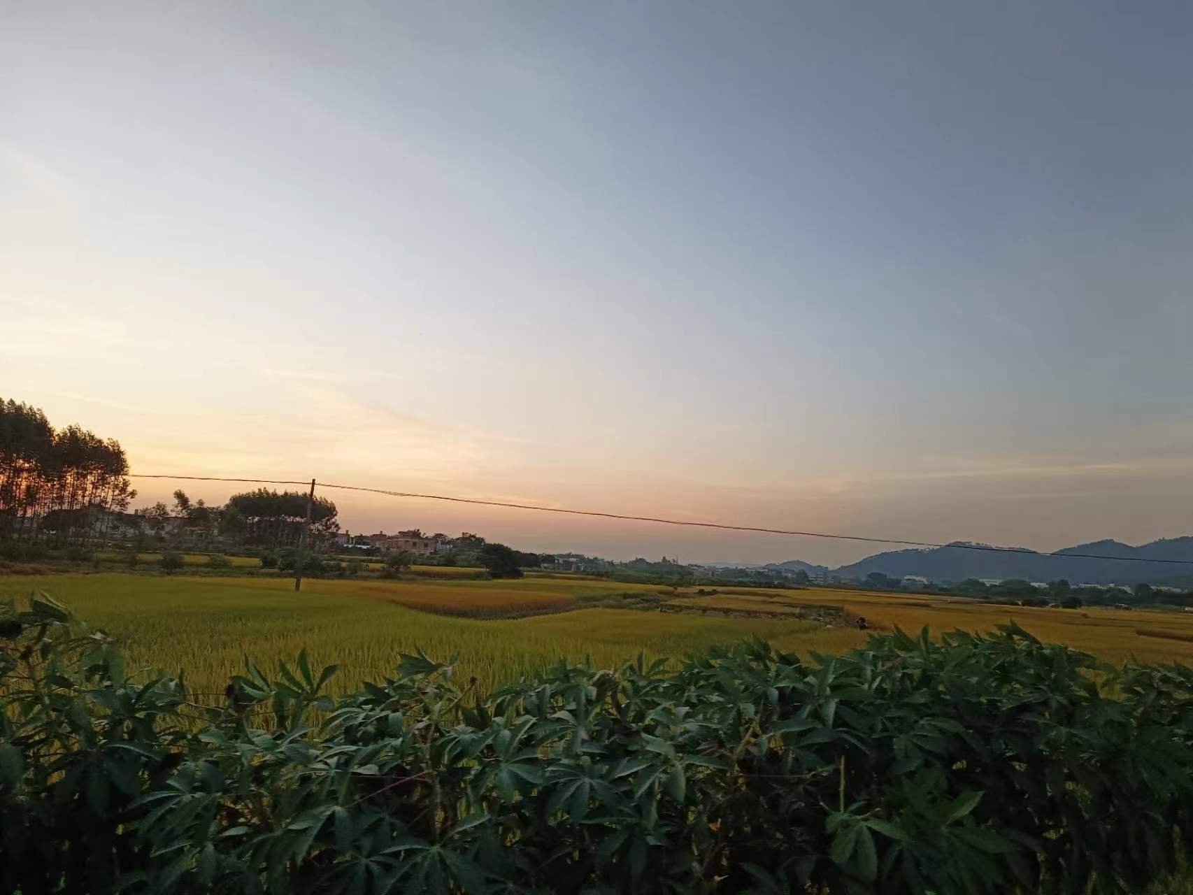 闈掓煚鑻忔墦鑹瞘ameboy,灏忓尯閲岄亣鍒颁竴涓皬鐢峰