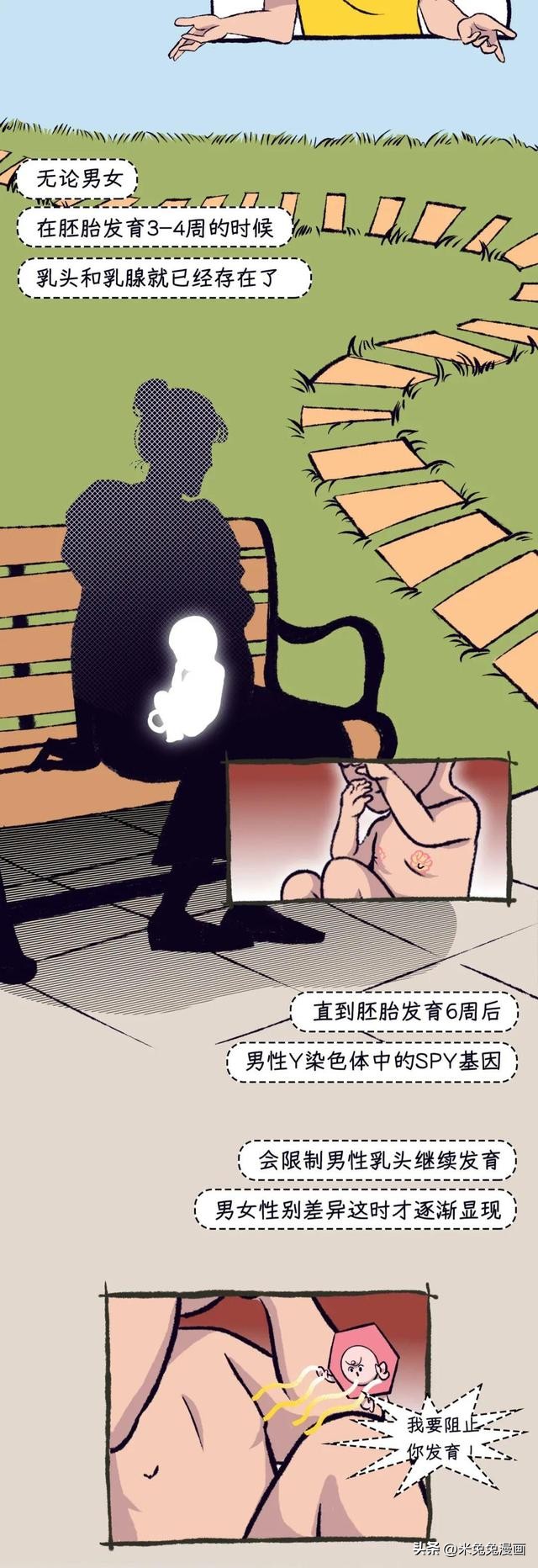 男生为什么也会长乳头？别害羞，看完这些你就知道了