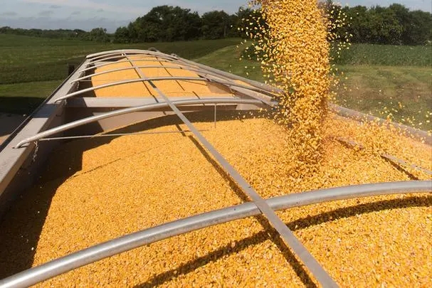 俄开放海参崴24小时，中国取消83万吨美国订单，拜登的时间不多了