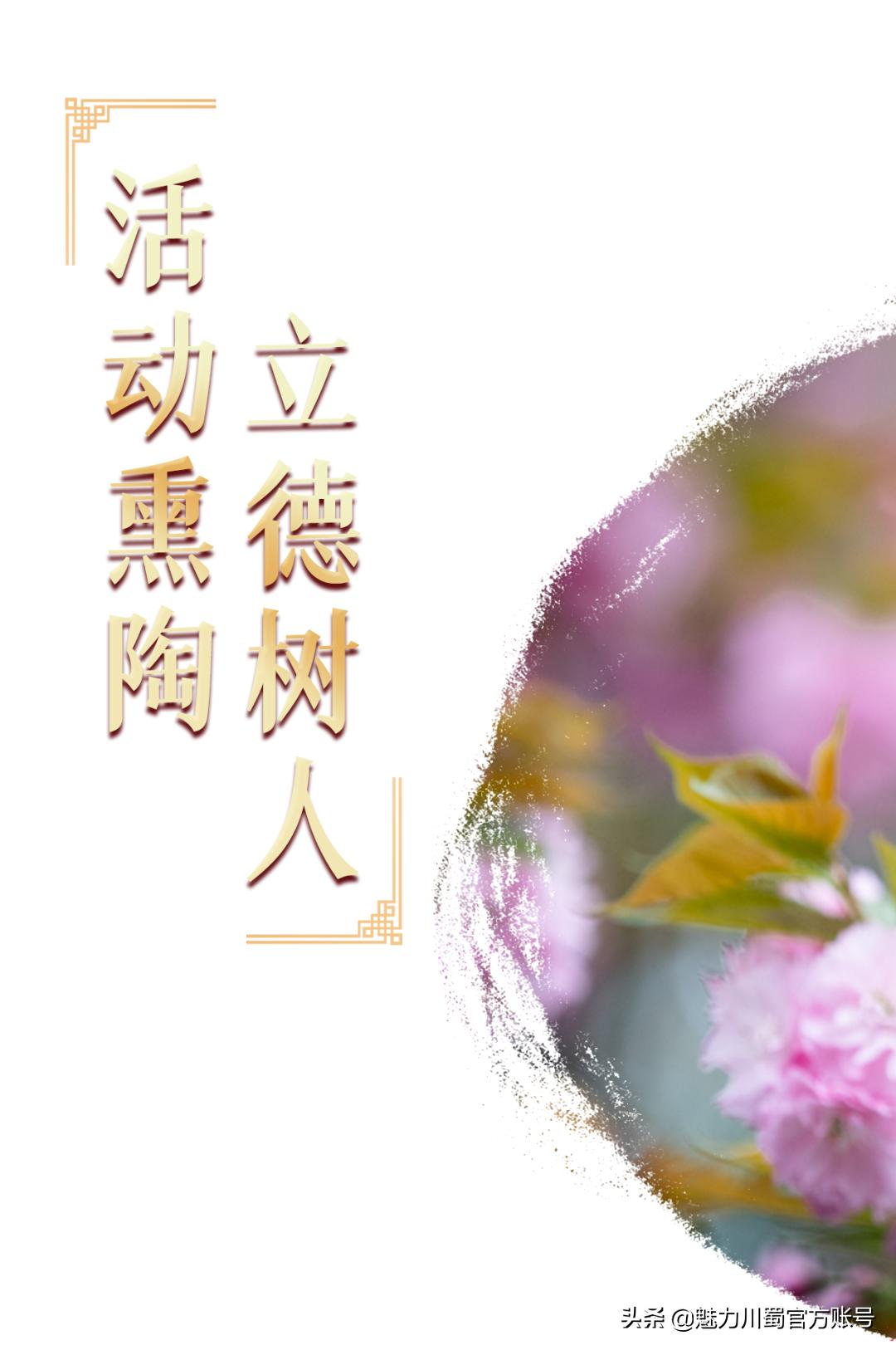 代码009，与未来快乐邂逅丨@中考学子，这里是绵阳中学实验学校