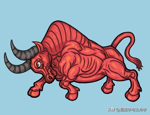 生肖牛2024年运势,生肖牛运势百度