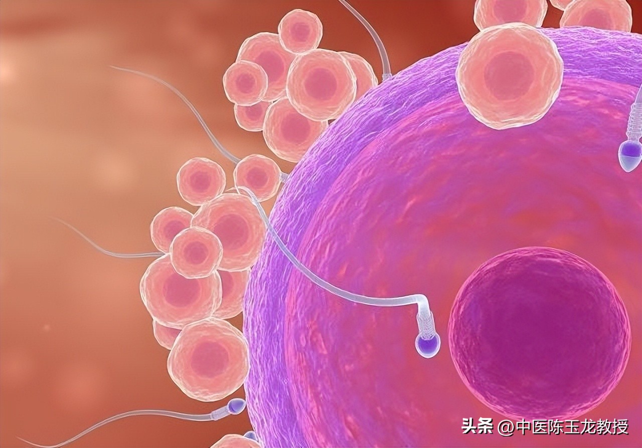 阴囊潮湿能力下降？送你一方清热燥湿，赶走潮热，还你健康本色