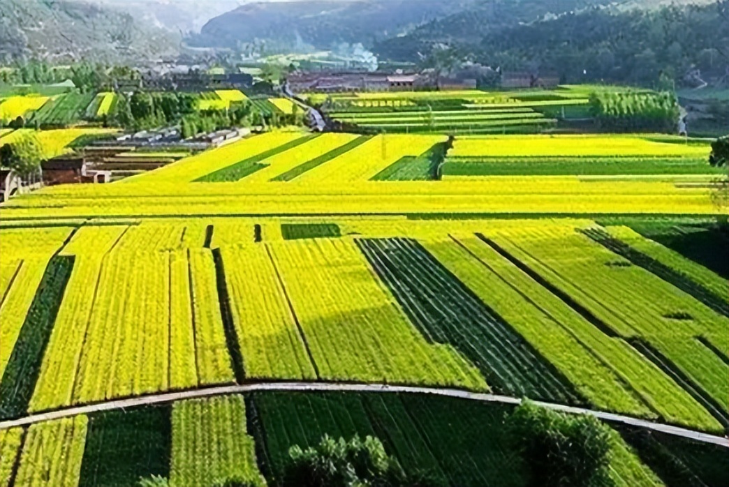 政策性农业保险怎么样,完善政策性农业保险机制