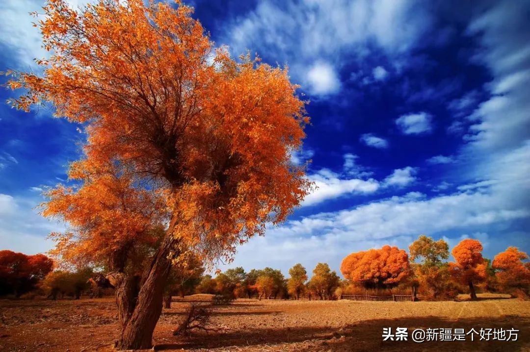 阿克苏自由行攻略大全,阿克苏自驾游攻略最佳路线