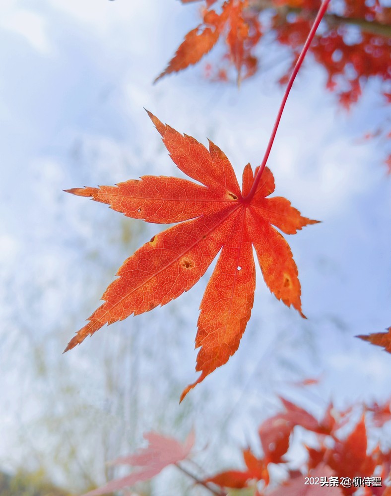 拍照不好看只要学会这些小技巧,摄影大师教你拍照技巧