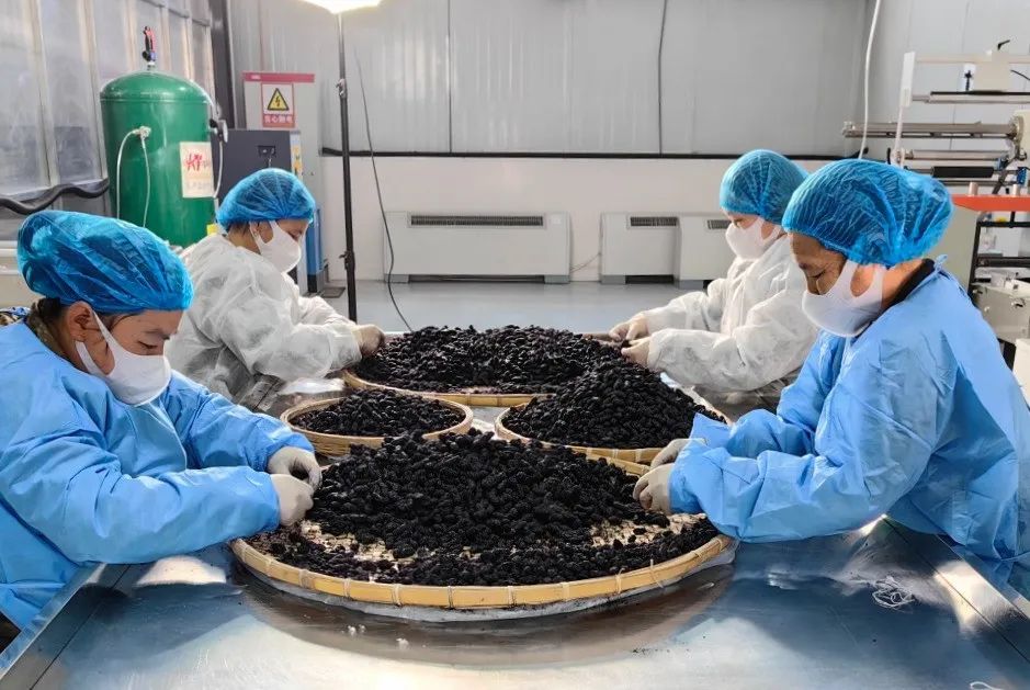 创新创业大赛智慧农业,创新创业大赛电商助农视频