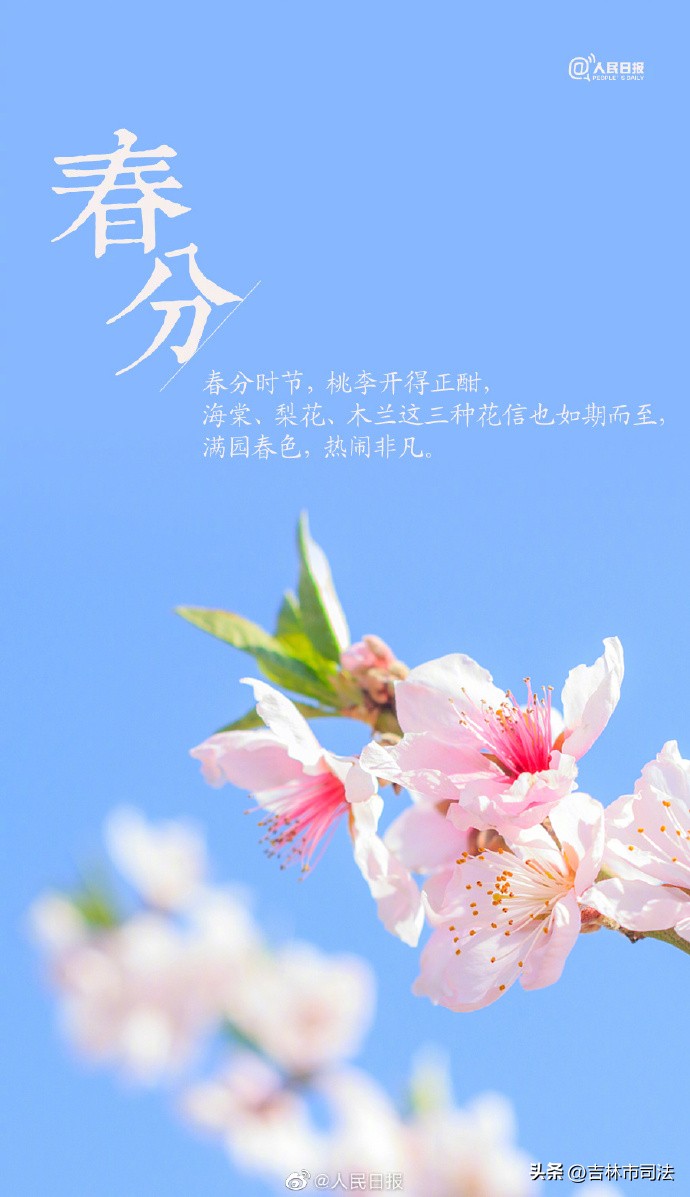 今日春分春暖花开,今日春分不负好春光