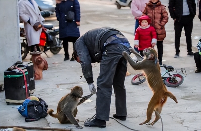 网友衣服放购物车太久被客服嘲笑,因衣服长时间放购物车被客服讽刺