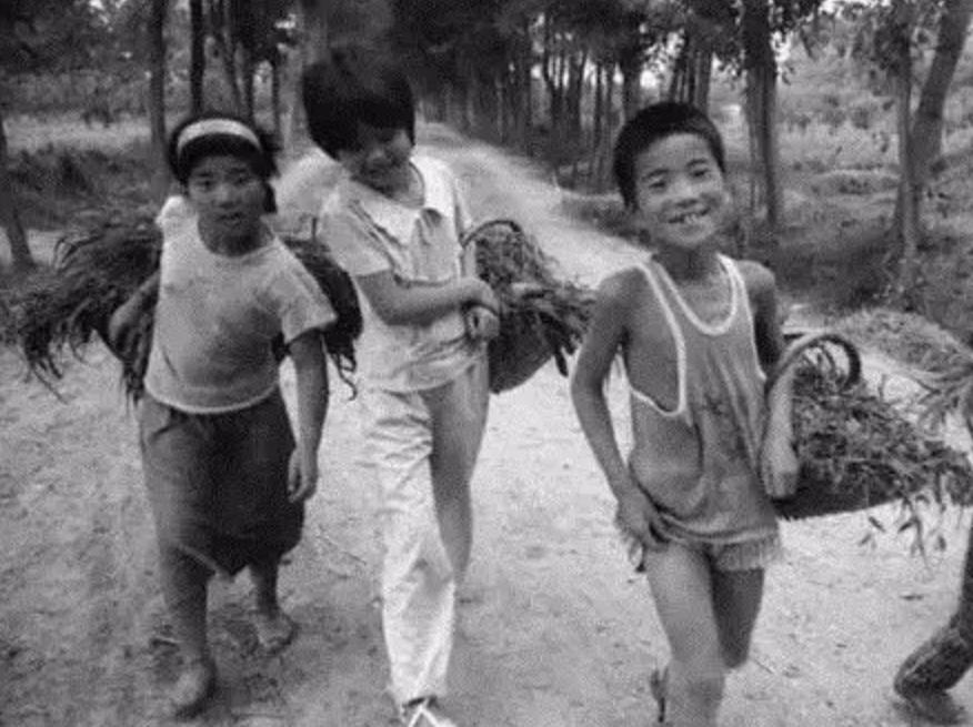 爱迪生传奇人生故事,大王的传奇一生