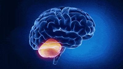 小孩玩过家家坏处,孩子玩过家家的东西