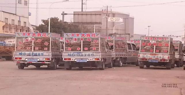 麻小花做什么生意,全国都有的天津大麻花怎么挣钱