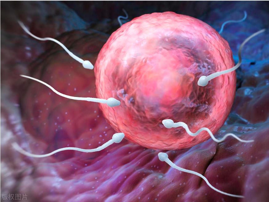 男性长期没“排精”，身体或许会出现这几种变化，早知早受益！