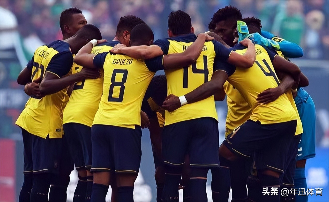 世界杯厄瓜多尔队赛程一览,世界杯厄瓜多尔赛程