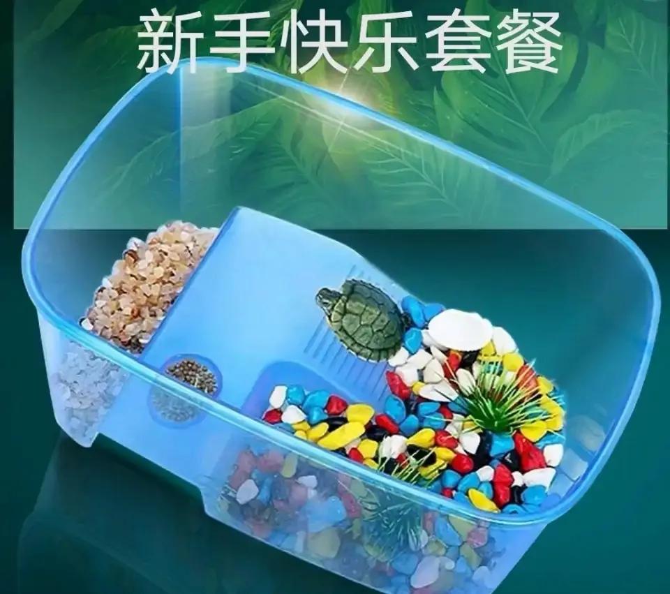 宠物水龟怎么养活得快些,新手养半水龟怎么养