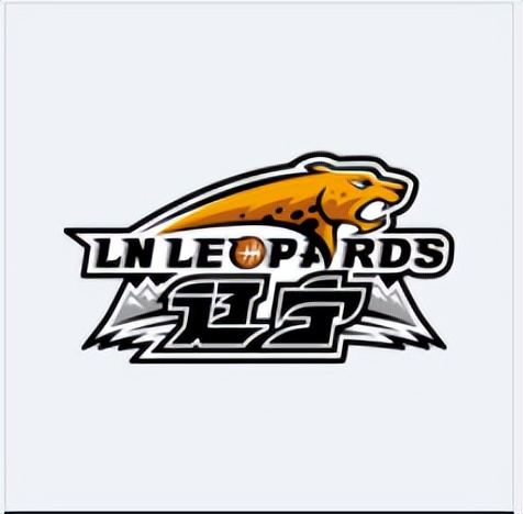 cba注册名单辽宁男篮,cba联赛国内球员注册信息广厦