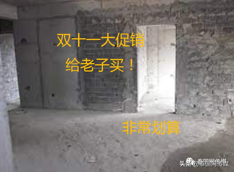 泰国清迈网购诈骗被抓,泰国网购诈骗案