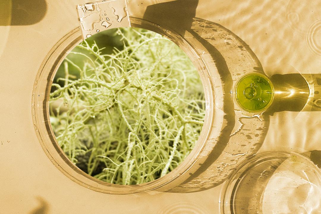 抗衰老化妆品排行,十大抗衰老化妆品排行榜