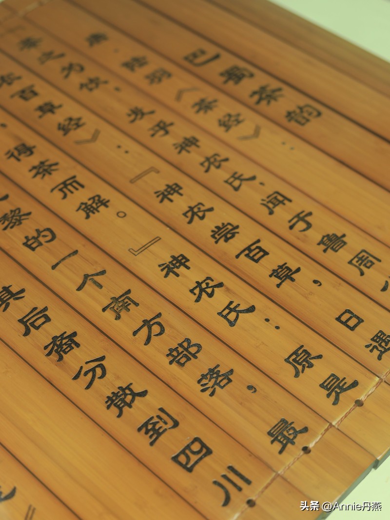 四川万源市旅游攻略,四川达州周边旅游攻略景点必去