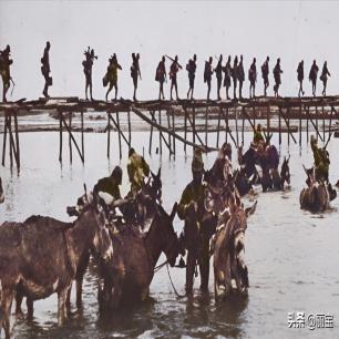 日本731部队的母爱实验,日本731部队测试母爱