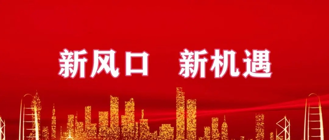 站在风口上猪都能飞起来是谁说的,最佳风口项目