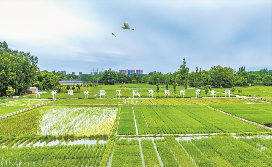 温江3+6产业体系,温江区3+6高质量发展