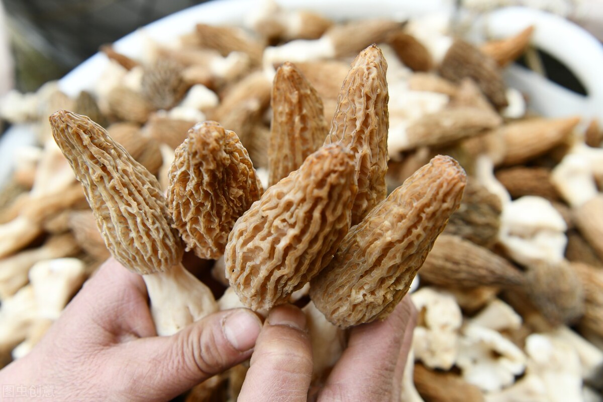 农村种植致富的20个项目排行榜,农业种植什么项目前景好挣钱多呢