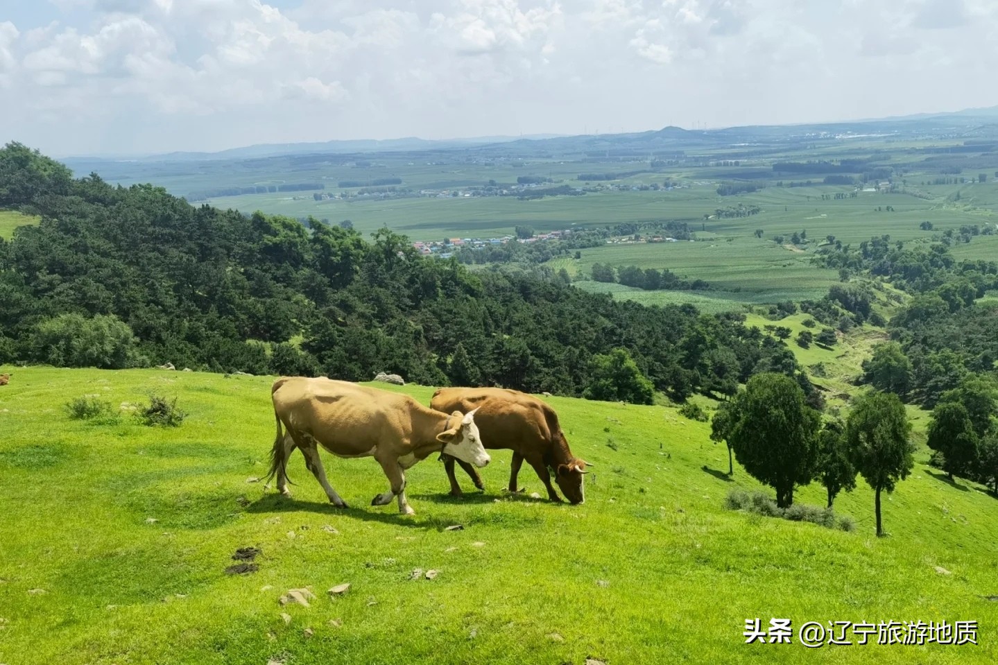 沈阳登山旅游哪里好,沈阳周边登山推荐