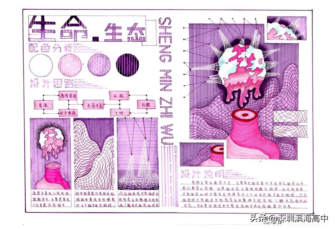 广美2023校考设计素描作品水瓜,广东美术联考2023考题素描范画