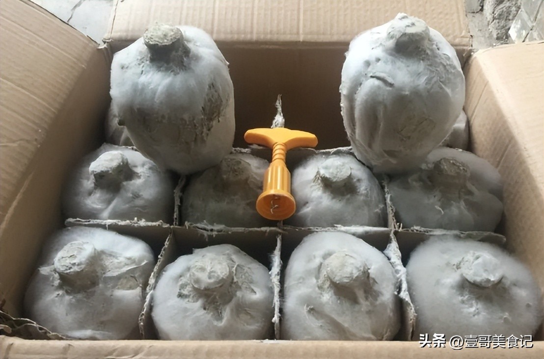 回收老酒年赚百万,回收老酒年收入上百万