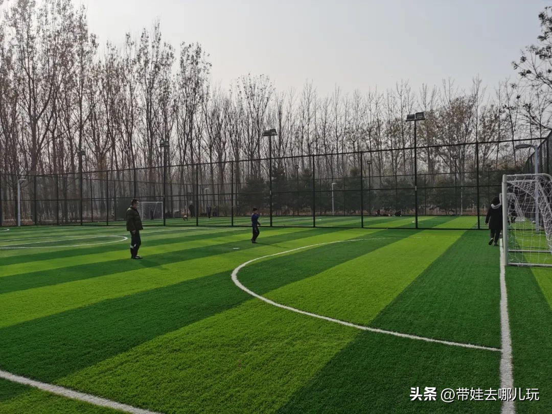 骑行国家森林公园,徒步骑行森林公园