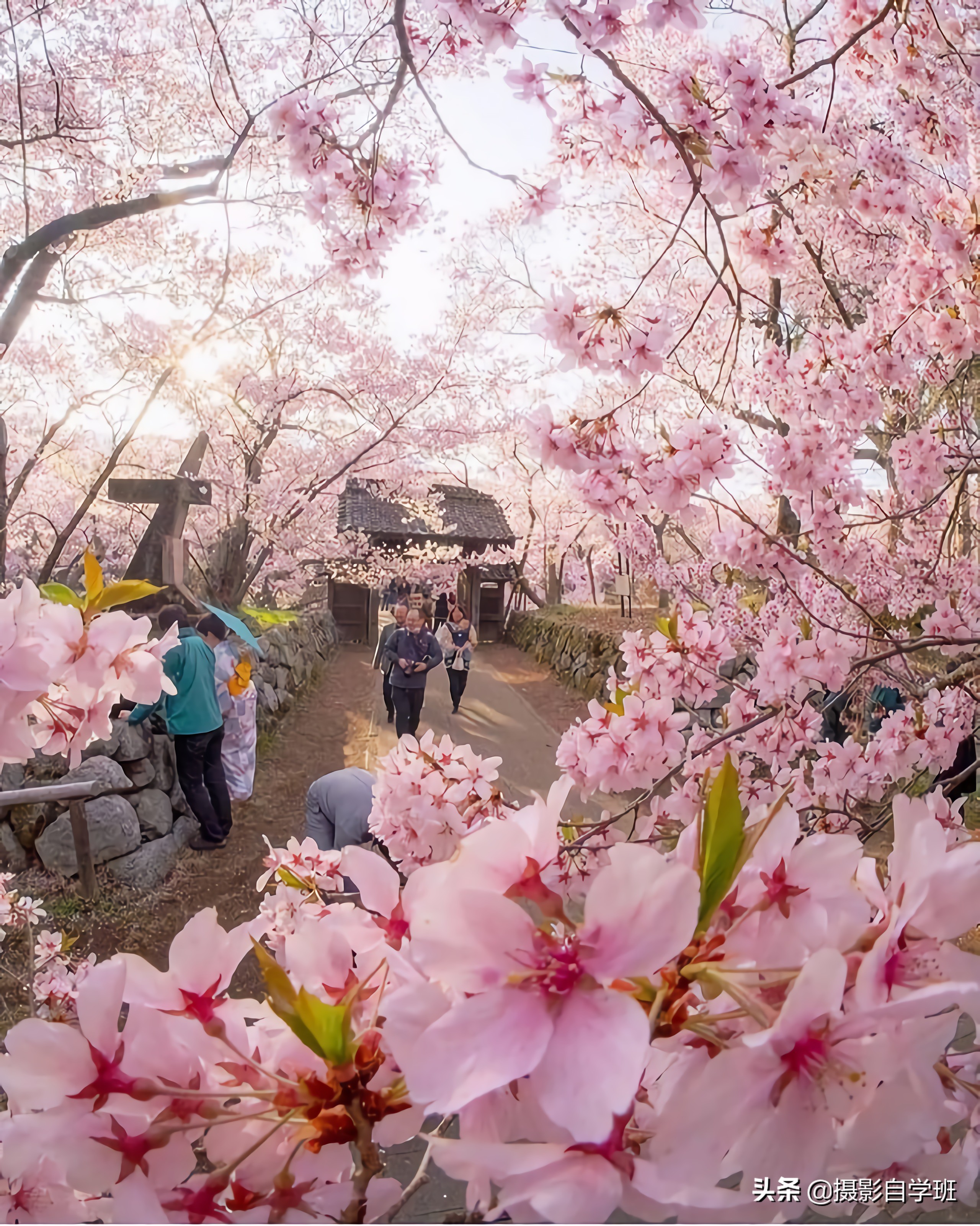 专业摄影师教你5个风光摄影技巧,摄影师拍风景教程