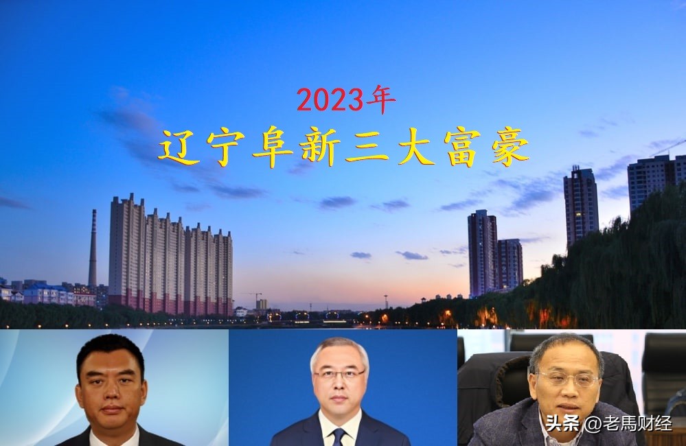 辽宁阜新富豪,辽宁十大亿万富豪