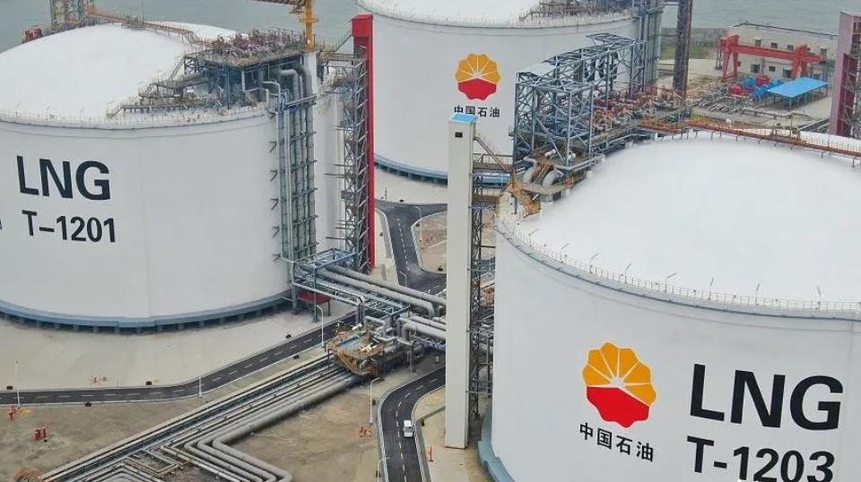 桓台崔守军,崔守军全球能源