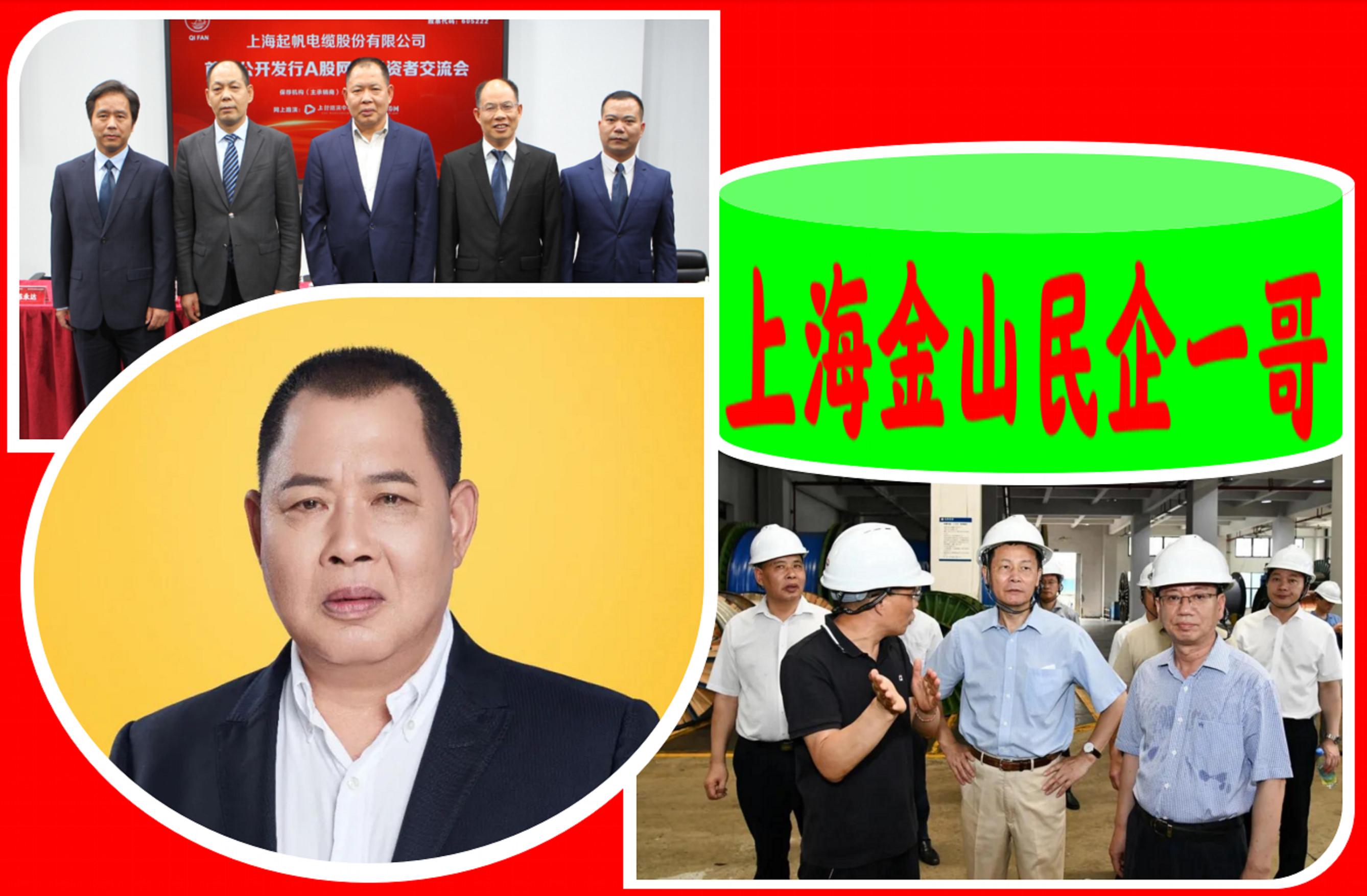 上海金山龙头企业,上海金山民企