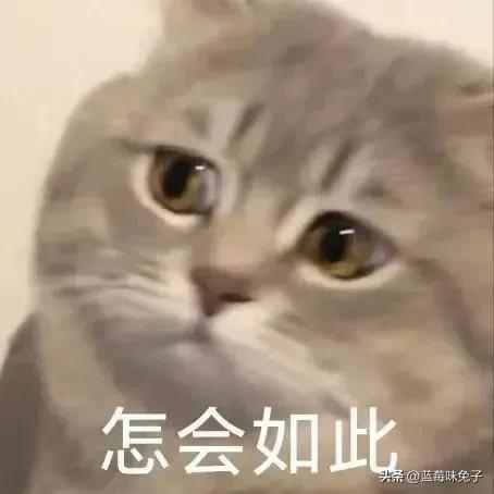 太搞笑了！那些*人用成品**无人店新公司的套路