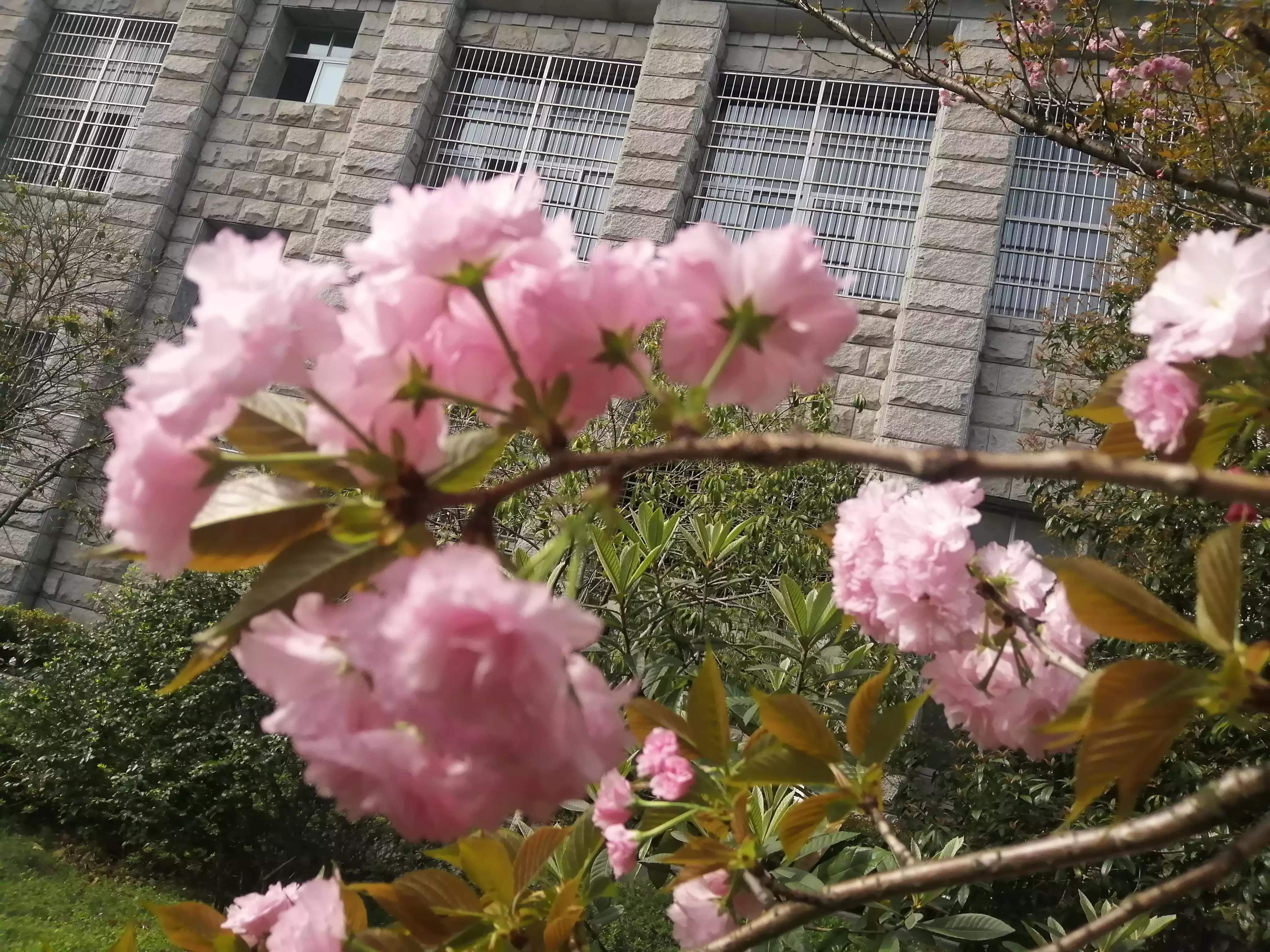 想不通的事情选择放下,想不通的事情暂时放下没事吧