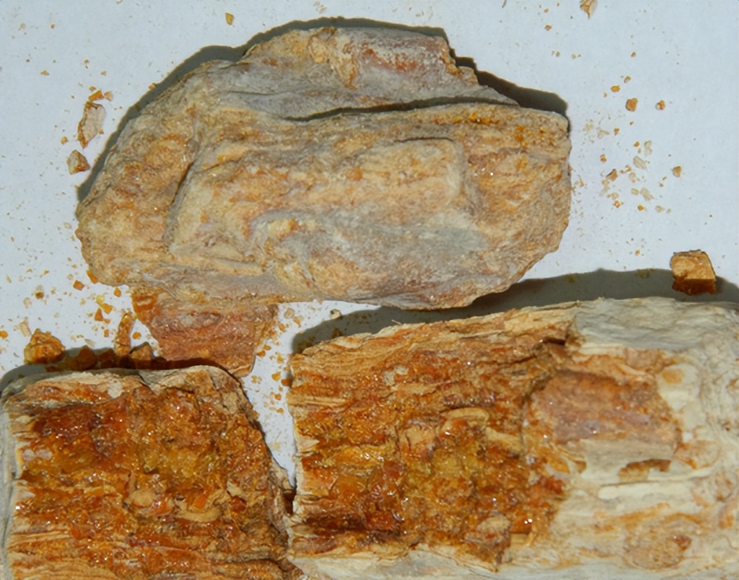 怎么识别煤琥珀,琥珀用水怎么样识别真假