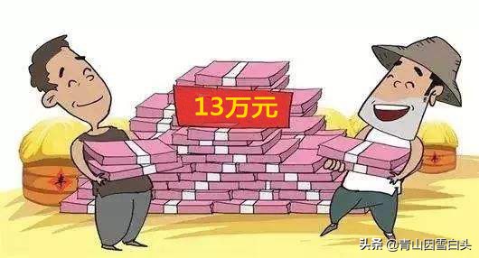 秃杉种多少年可以卖,秃杉树苗