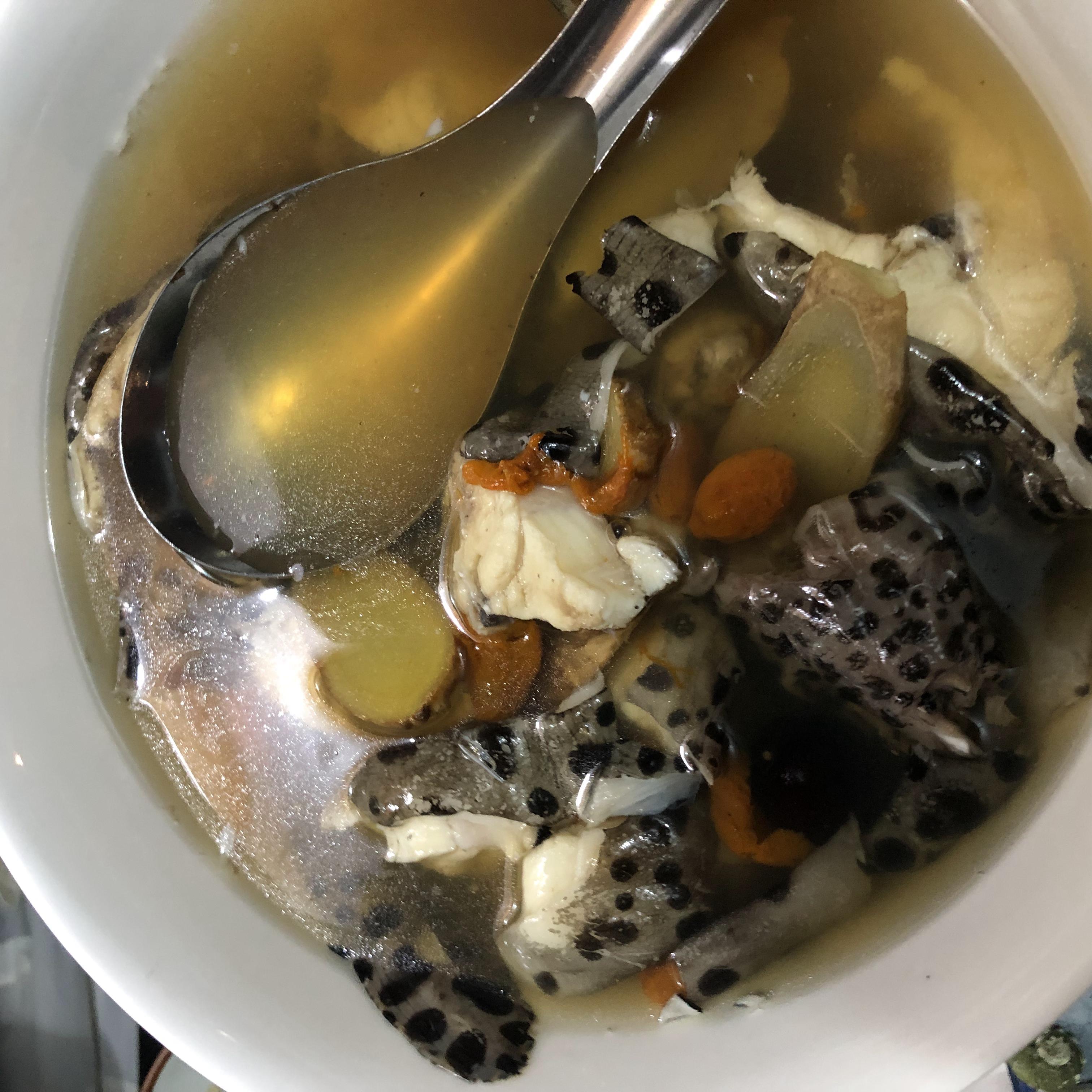 台湾8天7夜环岛行散记,台湾15天自由行攻略