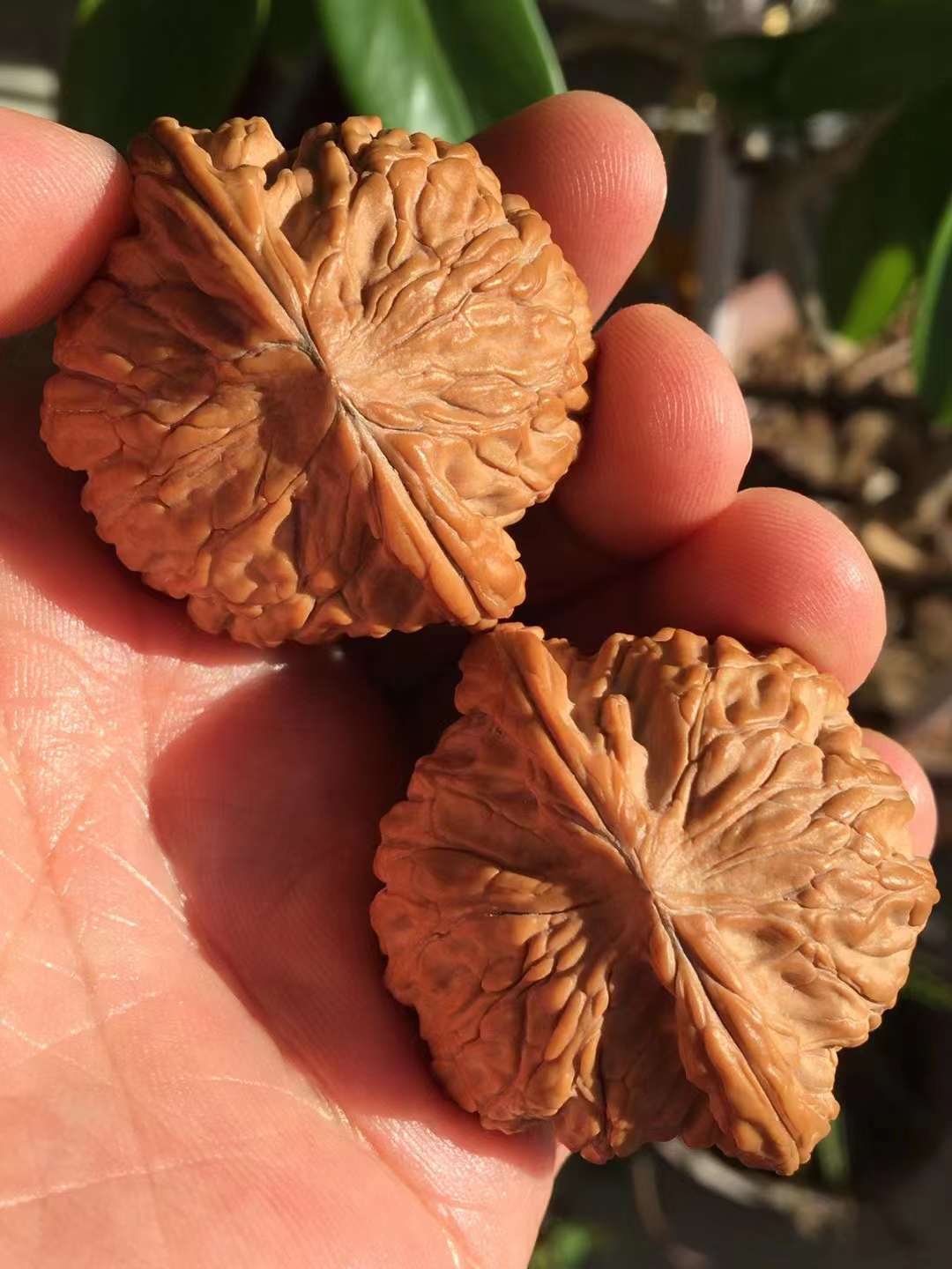 乾隆磨盘和山地磨盘区别对比,乾隆磨盘和普通磨盘哪个贵