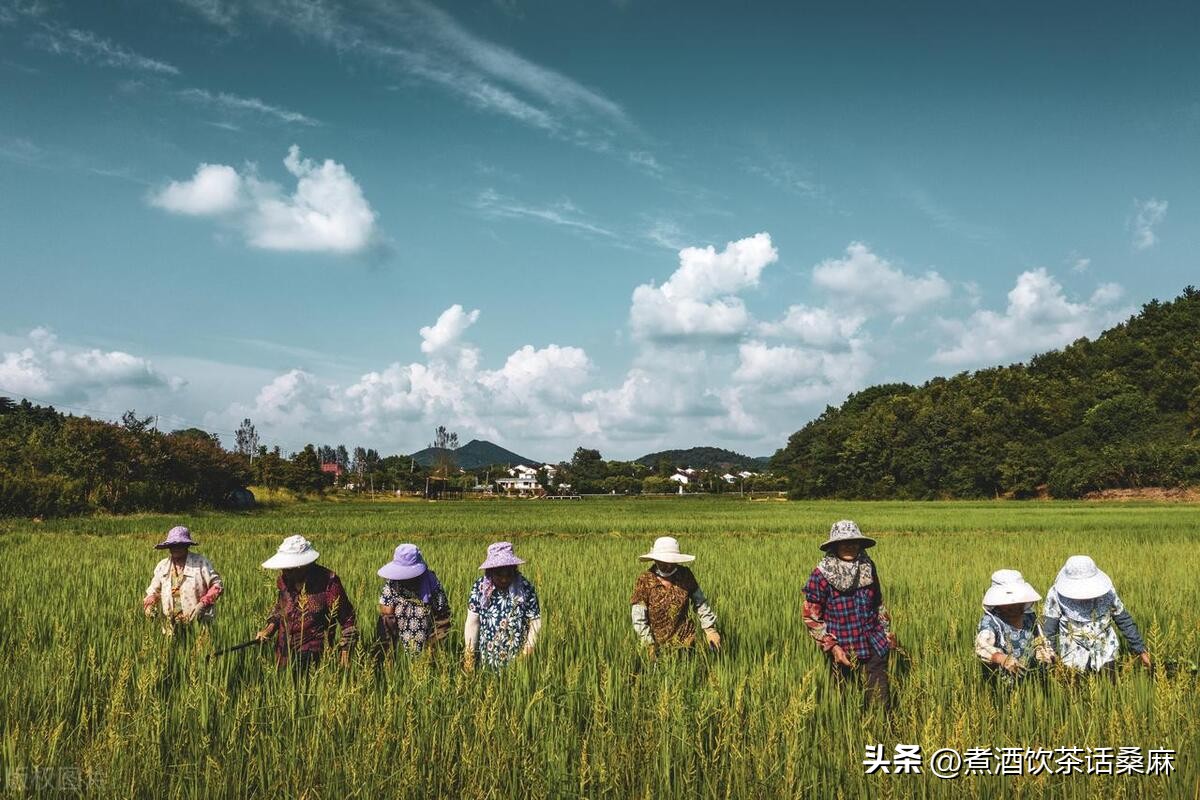 基层管理堪忧，村会计骗取村民身份证开卡，刷取流水只为赌博奖励